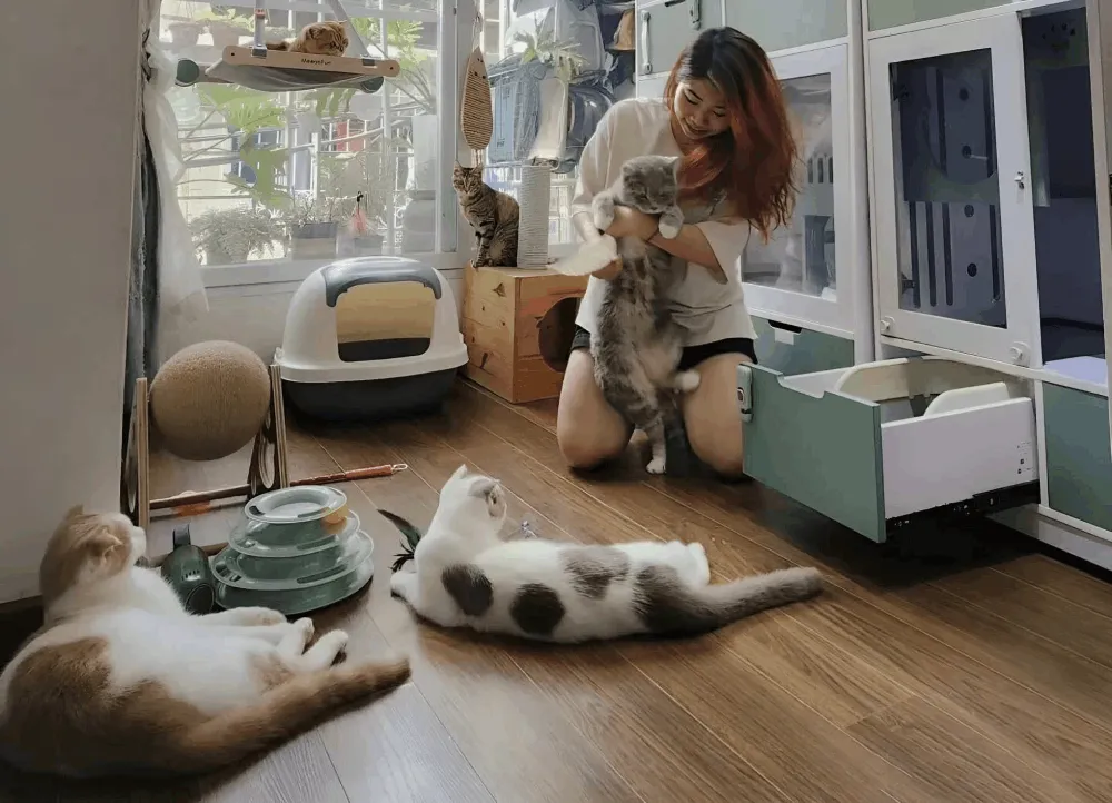 Hình ảnh minh họa nuôi chó mèo ở phòng trọ