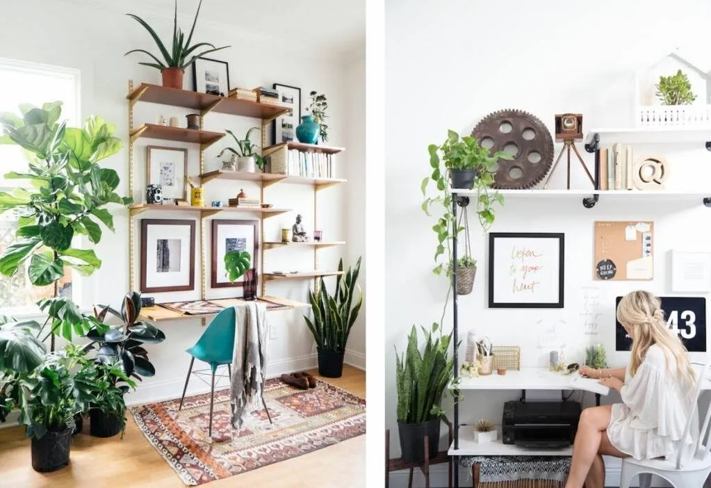 Hình ảnh sử dụng cây xanh làm mát phòng trọ